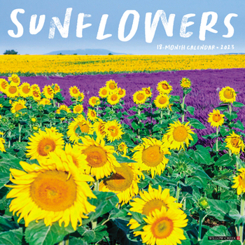 Calendar Sunflowers 2023 Wall Calendar Book