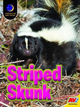 Striped Skunk
