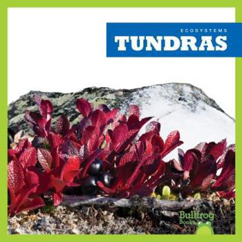 Tundras - Book  of the Ecosistemas / Ecosystems