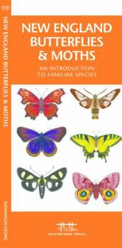 Hardcover New England Butterflies & Moths: A Folding Pocket Guide to Familiar Species Book