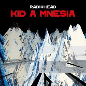 Vinyl Kid A Mnesia Book
