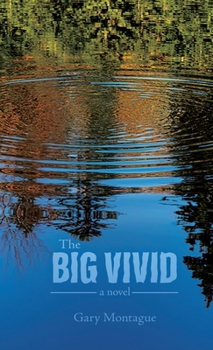 Hardcover The Big Vivid Book