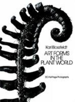 Paperback Art Forms in the Plant World Book