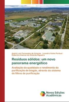 Paperback Resíduos sólidos: um novo panorama energético [Portuguese] Book