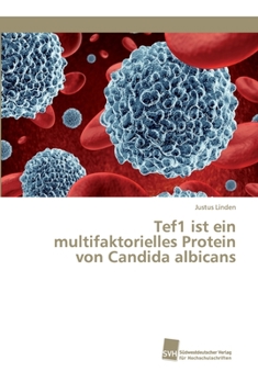 Paperback Tef1 ist ein multifaktorielles Protein von Candida albicans [German] Book