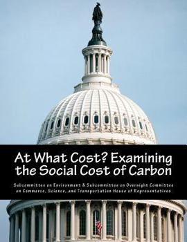 Paperback At What Cost? Examining the Social Cost of Carbon Book