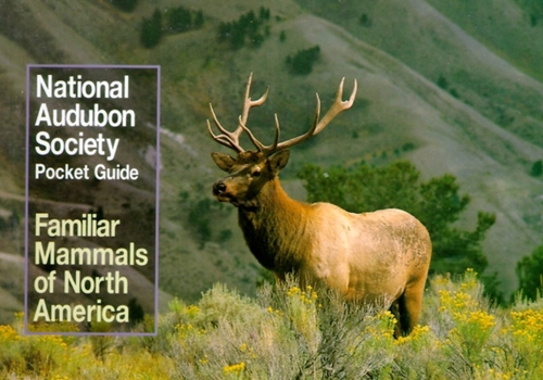 Paperback National Audubon Society Pocket Guide to Familiar Mammals Book