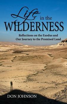 Paperback Life in the Wilderness: Reflections on the Exodus and Our Journey to the Promised Land Book