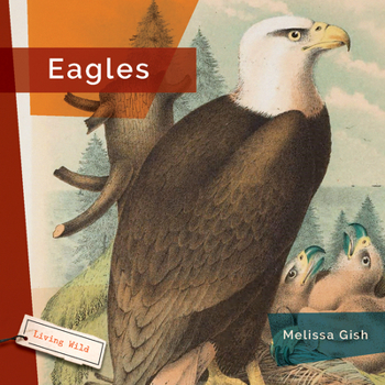 Paperback Eagles Book
