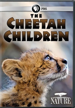 DVD Nature: Cheetah Children Book