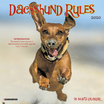 Calendar Dachshund Rules 2020 Mini Wall Calendar (Dog Breed Calendar) Book