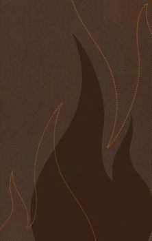 Paperback Ignite-NKJV: The Bible for Teens Book