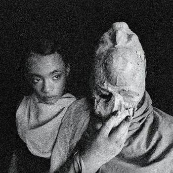 Vinyl Formal Growth In The Desert Book