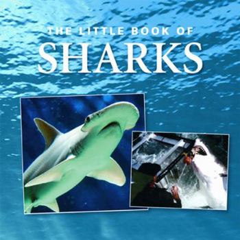 Hardcover The Little Book of Sharks Book