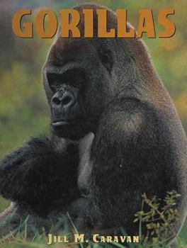 Gorillas (A Portrait of the Animal World) - Book  of the Animals in the Wild