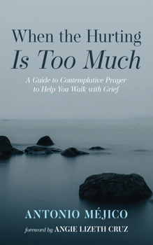 Hardcover When the Hurting Is Too Much Book