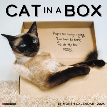 Calendar Cat in a Box 2024 12 X 12 Wall Calendar Book