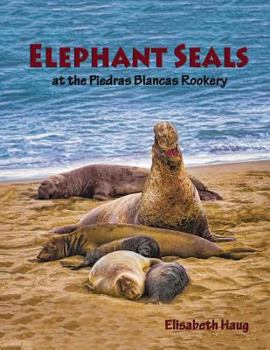 Paperback Elephant Seals at the Piedras Blancas Rookery Book