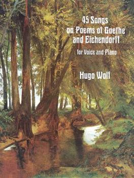 Paperback 45 Songs on Poems of Goethe and Eichendorff for Voice and Piano Book