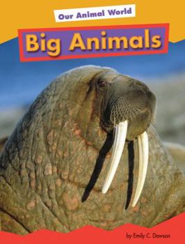 Library Binding Big Animals Book