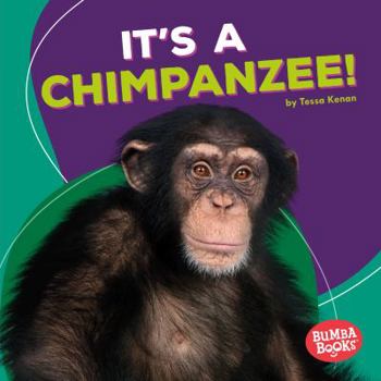 It's a Chimpanzee! - Book  of the Animales de la Selva Tropical