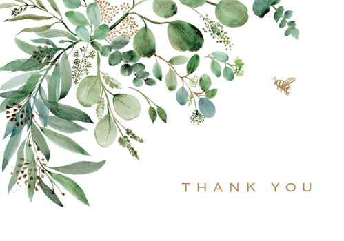 Gift Eucalyptus Thank You Note Cards (14 Cards, 15 Self-Sealing Envelopes) Book