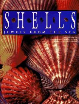 Hardcover Shells: Jewels from the Sea Book