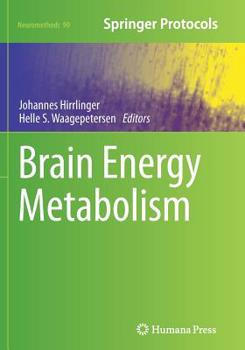 Paperback Brain Energy Metabolism Book