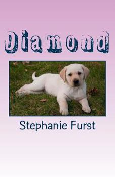 Paperback Diamond Book