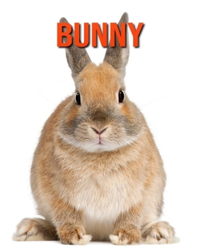 Bunny: Amazing Facts about Bunny