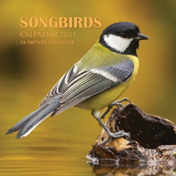 Paperback Songbirds Calendar 2021: 16 Month Calendar Book