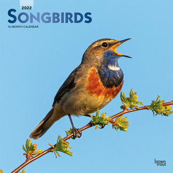 Songbirds 2022 12 x 12 Inch Monthly Square Wall Calendar with Foil Stamped Cover, Wildlife Animals