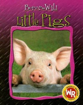 Little Pigs (Born to Be Wild) - Book  of the Born to be Wild