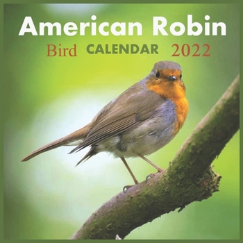 Bird Robin Calenda 2022: Official ROBIN Birds 2022 Calendar,12 Months, Squire calendar 2022, American Robin calendar 2022