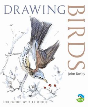 Paperback Drawing Birds Book