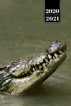 Crocodile Alligator Gharial Caiman Reptile Week Planner Weekly Organizer Calendar 2020 / 2021 - Head out Water: Cute Wildlife Animal Pet Bullet Journal Notebook Diary in 6” x 9” Inch Pocket Size