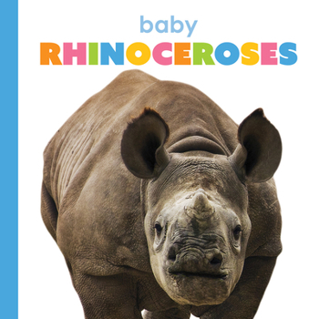 Baby Rhinoceroses (Starting Out)