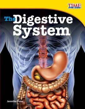 The Digestive System (Library Bound) - Book  of the Fiction Readers
