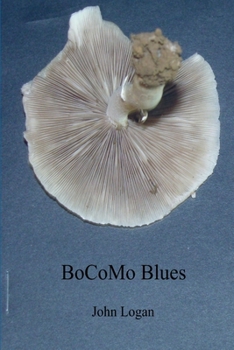 Paperback BoCoMo Blues Book