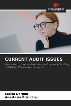Paperback Current Audit Issues Book