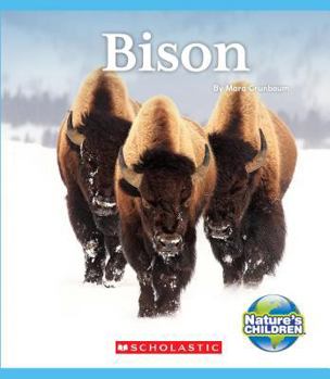 Hardcover Bison (Nature's Children) Book