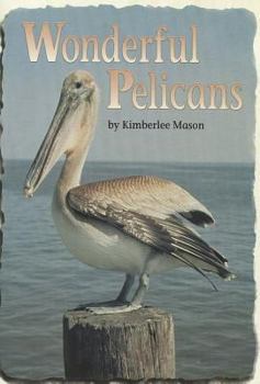 Paperback Wonderful Pelicans Book