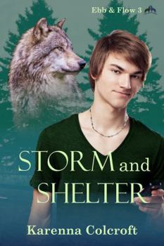 Paperback Storm and Shelter: Ebb & Flow 3 Book