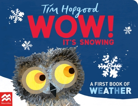 Board book Wow! It's Snowing: A First Book of Weather Book