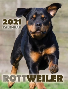 Paperback Rottweiler 2021 Calendar Book