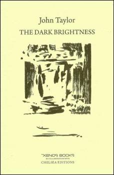Paperback The Dark Brightness Book