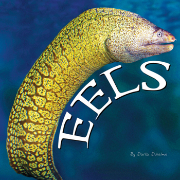 Paperback Eels Book