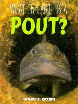 Hardcover What on Earth Is A... - Pout Book