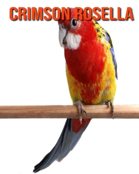 Paperback Crimson Rosella: Amazing Facts about Crimson Rosella Book