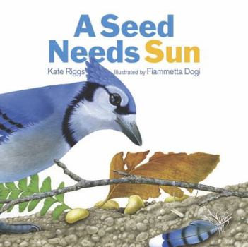 Board book A Seed Needs Sun Book